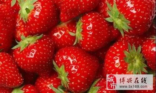 草莓在线视频免费观看,免费在线观看草莓视频，尽享美味时光