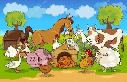 animal farm在线视频,揭示权力斗争与理想幻灭的在线视频深度解析