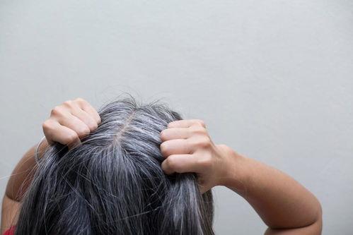 收看白发白在线视频,揭秘白发背后的健康密码