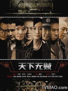 无贼在线视频观看,揭秘网络直播背后的惊险故事
